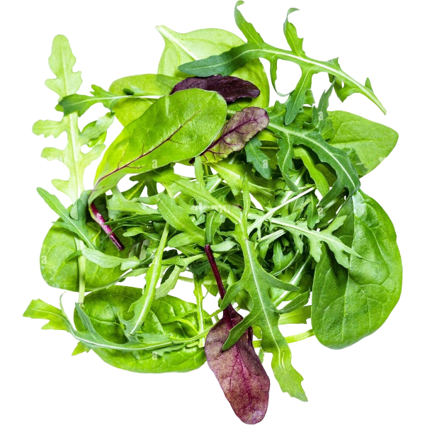 Mesclun Mix Leaves Imported 125G