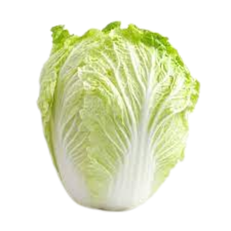 Cabbage (Chinese)