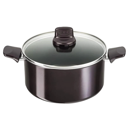 Tefal Stewpot 24+Lid