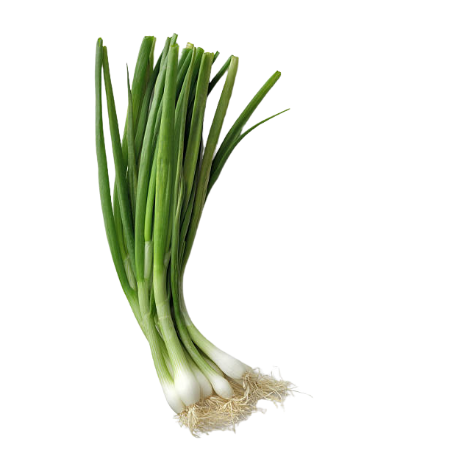 Spring Onion Bunch