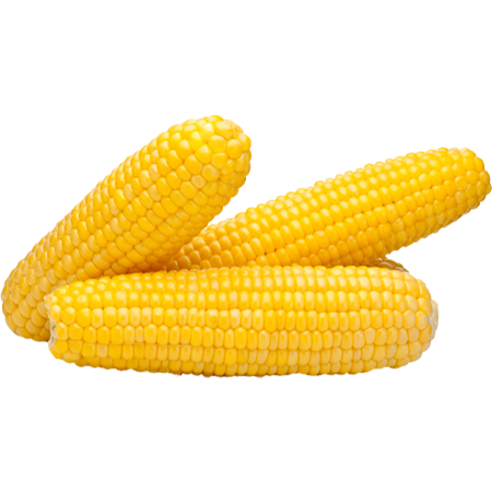 Sweet Corn 3Un