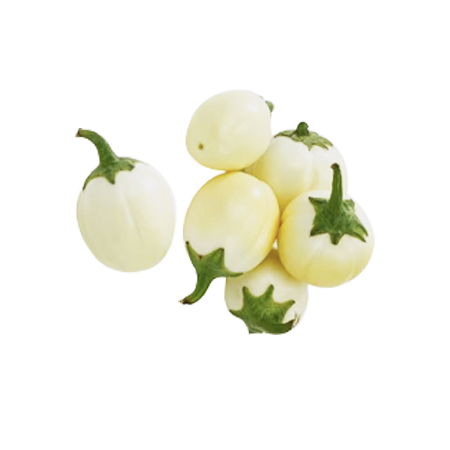 Garden Egg (White)
