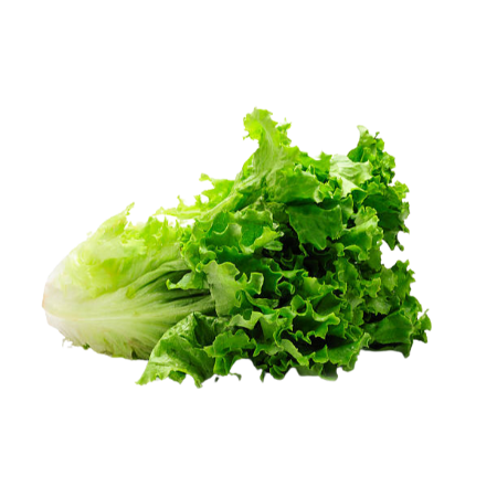 Lettuce (Green) 200G