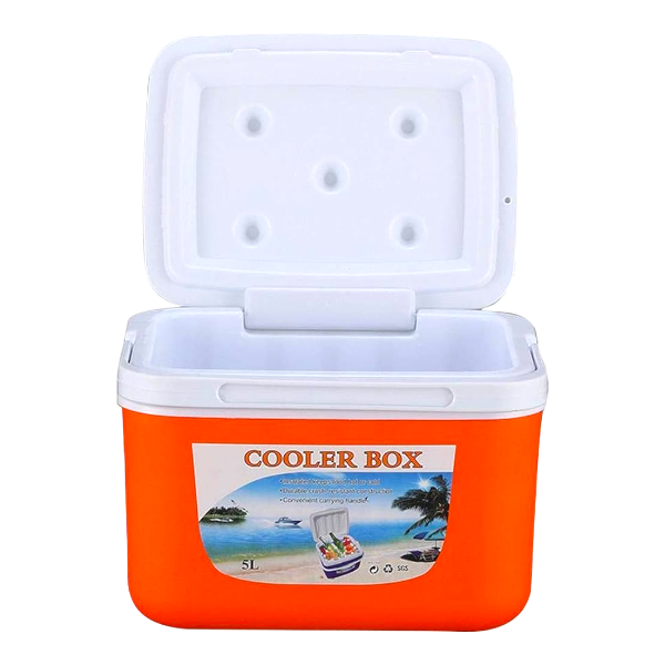 Outdoor Picnic Cooler Box 5L