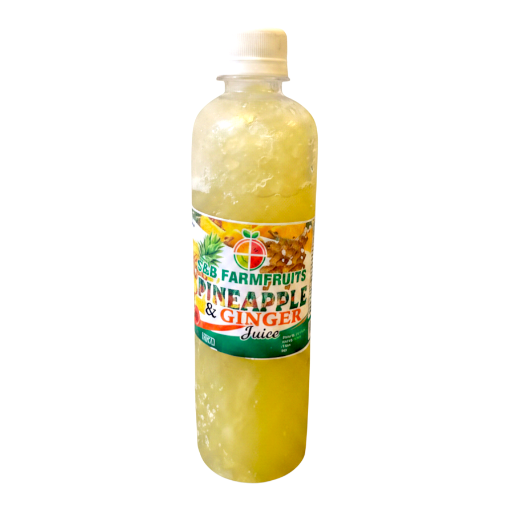 S & B Pineapple & Ginger (Frozen) 500Ml