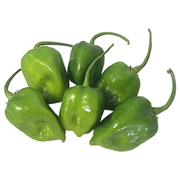 Pepper Green Habanero 250G