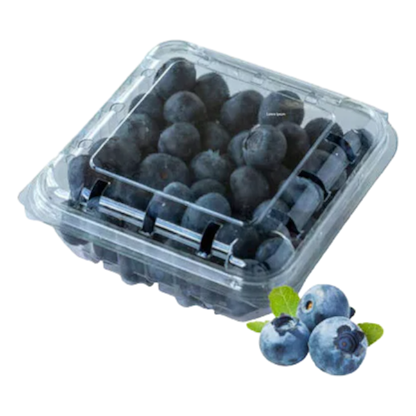 Blueberries Imported 125G