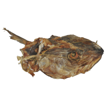 Stock Fish Head