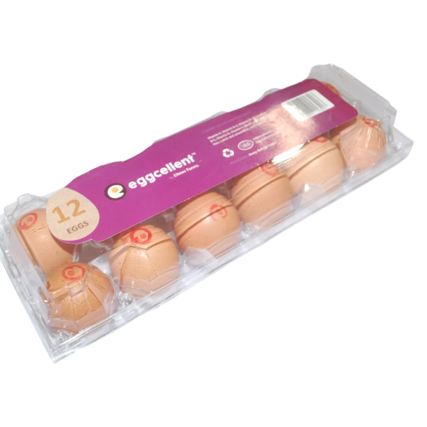 Eggcellent Eggs 12Un