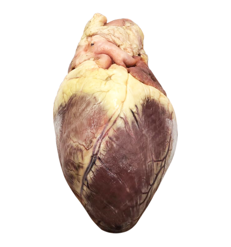 Beef Heart Pack Reds & Greens