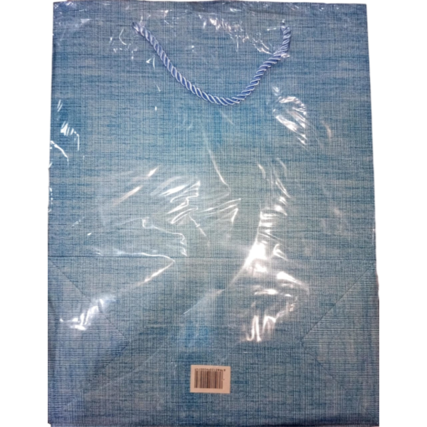 Ayotex Gift Medium Bag (Size 26X32X12Cm)  Light Blue