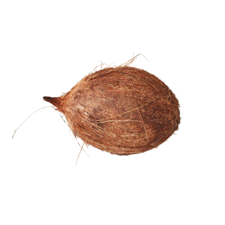 Coconut 1Un