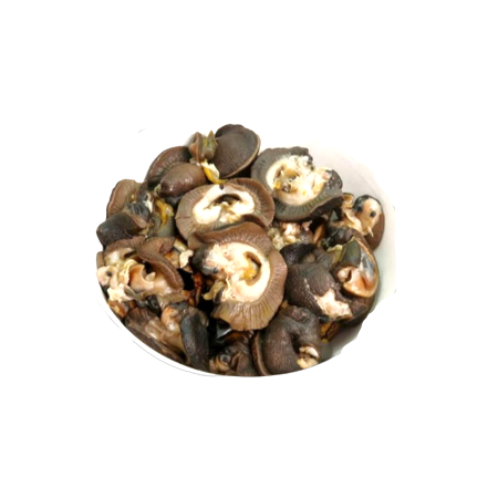 Krystle Snail Extra Large Snail 1Kg